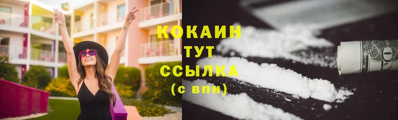 закладка  Тула  Cocaine Эквадор 